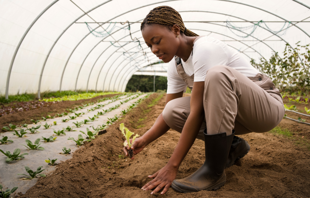 Agriculteur examinant des cultures issues de semences améliorées dans un champ ensoleillé, avec outils et plantation en arrière-plan.