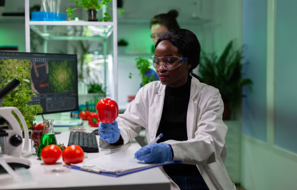 Agriculteur africain debout dans un champ de cultures avec une tablette numérique affichant des données agricoles